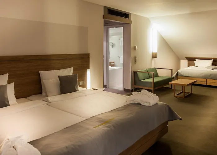 Hotel Stadtpalais Kolín nad Rýnem