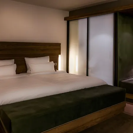 シュタットパライス 4* ケルン